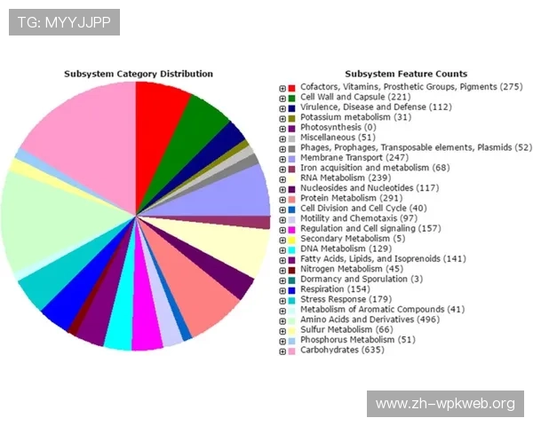 百家乐对打中的概率分析，科学提升你的游戏胜算